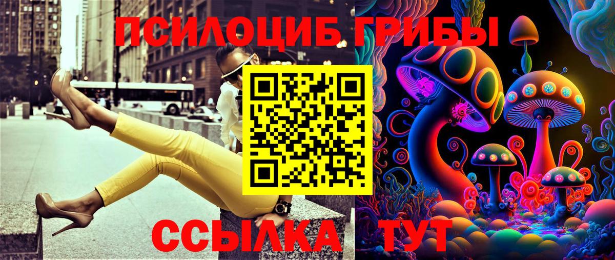 Галлюциногенные грибы Psilocybe  Галлюциногенные грибы Psilocybine cubensis  Вход с VPN  Россошь 