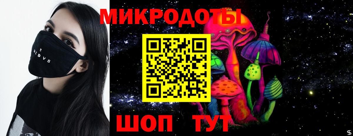 Псилоцибиновые грибы мицелий Россошь